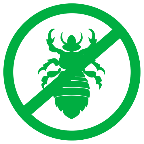 eekoloks head lice defense